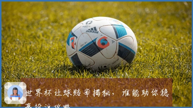 世界杯让球赔率揭秘，谁能助你稳赢投注攻略
