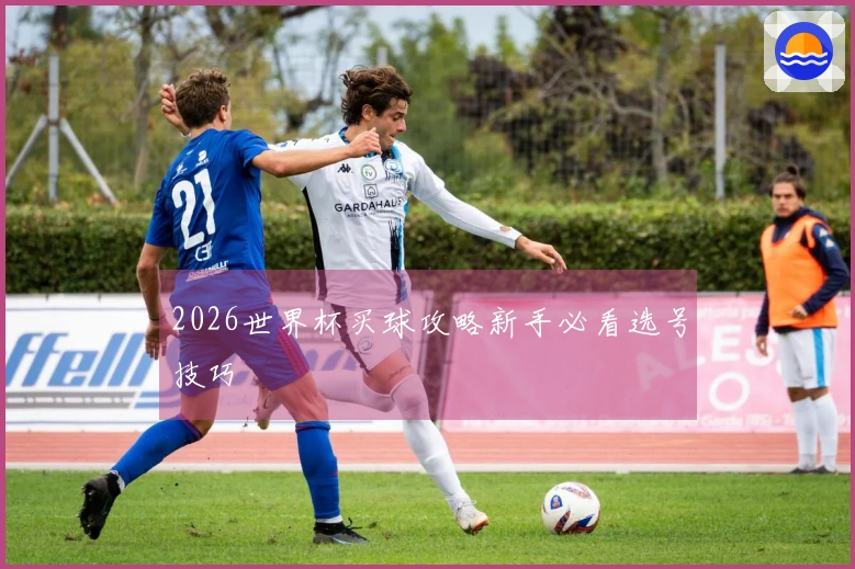 2026世界杯买球攻略新手必看选号技巧