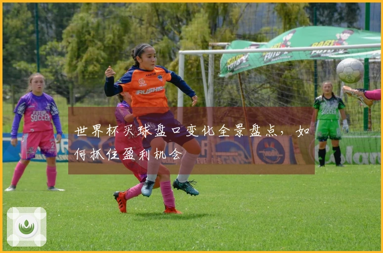 世界杯买球盘口变化全景盘点，如何抓住盈利机会
