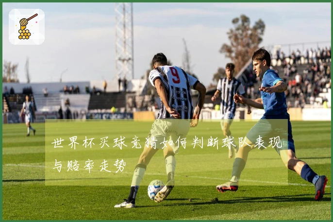 世界杯买球竞猜如何判断球队表现与赔率走势