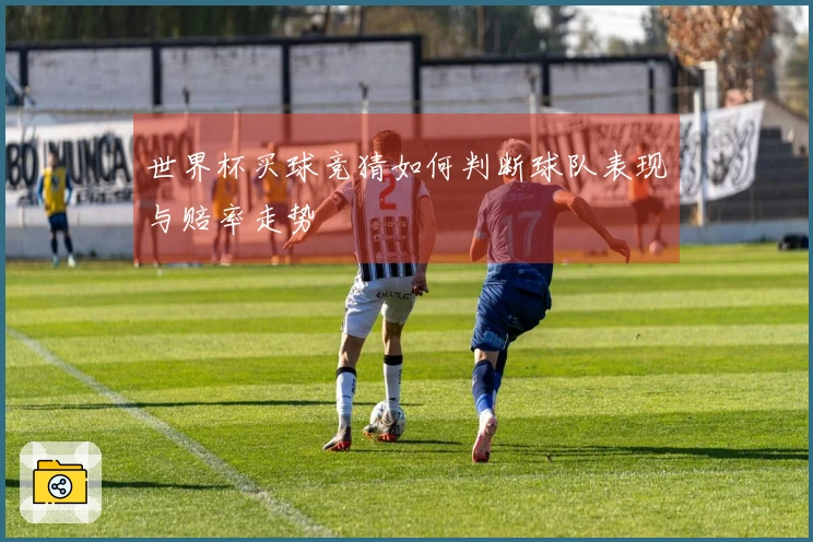 世界杯买球竞猜如何判断球队表现与赔率走势