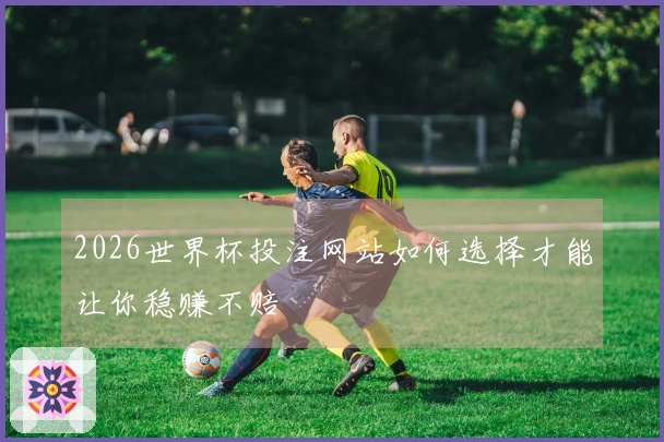 2026世界杯投注网站如何选择才能让你稳赚不赔