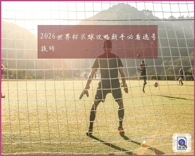 2026世界杯买球攻略新手必看选号技巧