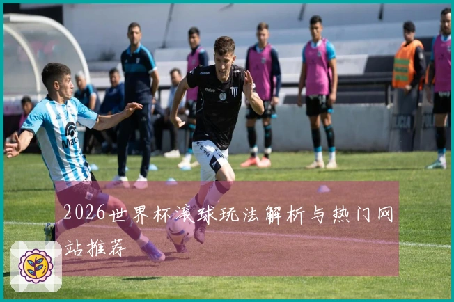 2026世界杯滚球玩法解析与热门网站推荐